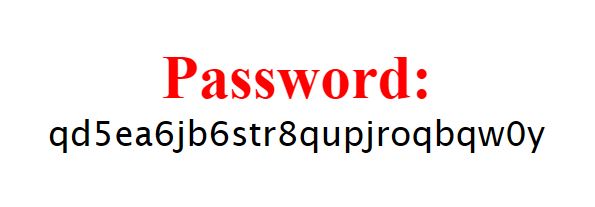 25-character password